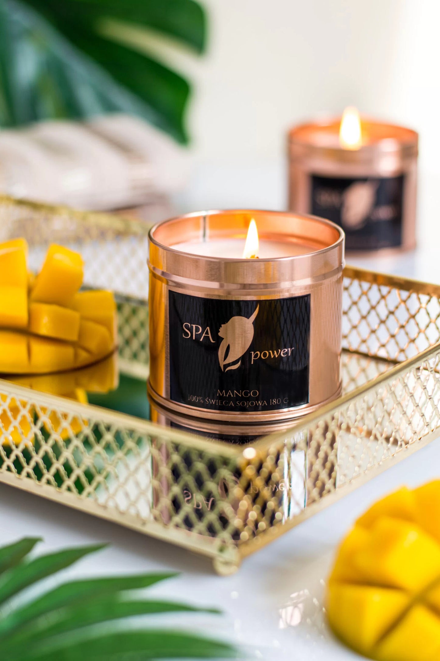 Soy Candle Mango (Excotic Morning)