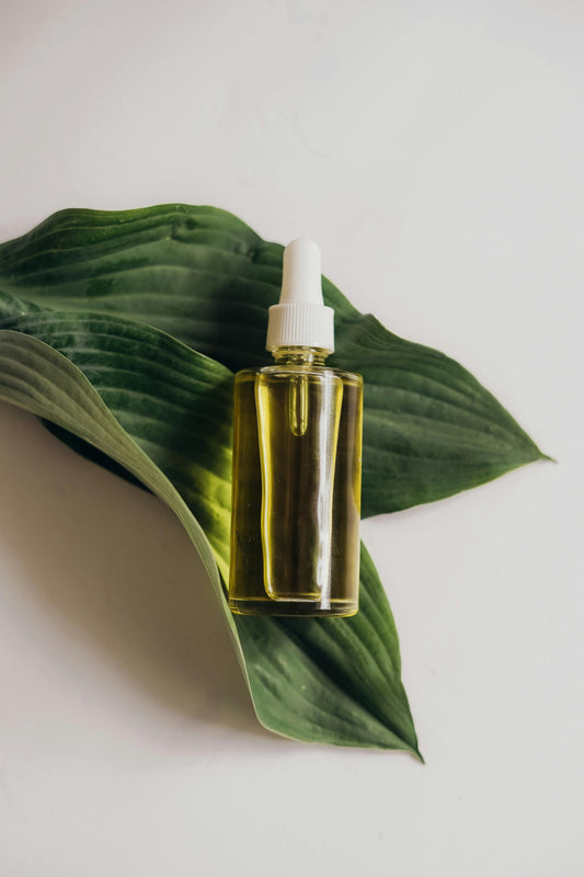 Czerwiec 2025 w branży masażu: Masaż w plenerze – boom na outdoor healing!
